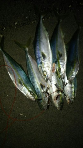 23gnd2ac8i8xbmiiusae_518_920-e8d1da79.jpg