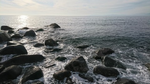 28p76on9ebu8ofcrkzyc_480_480-b6865098.jpg