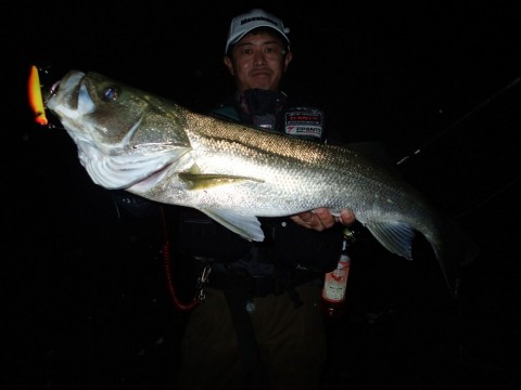 2jfzs7koi36g7ymhtm5c_480_480-2c5f2fcd.jpg