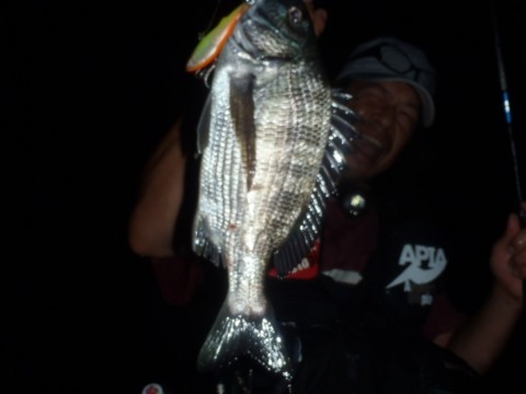 2o8jzvtauncamvj4thma_480_360-f18305b9.jpg