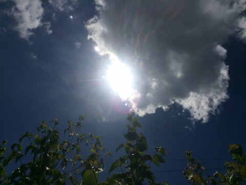 33a9ty3wsvcjoyepffm8_480_480-058148e0.jpg