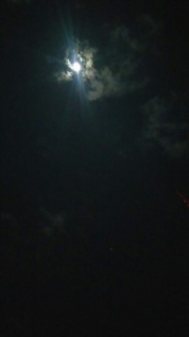 36i8za4sxf9b2pwoogx9_518_920-99cf5b97.jpg