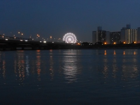 旧江戸川河口左岸