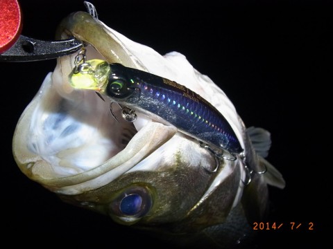47cuzaoh2v8zngcbdi7m_480_480-1af9bee9.jpg