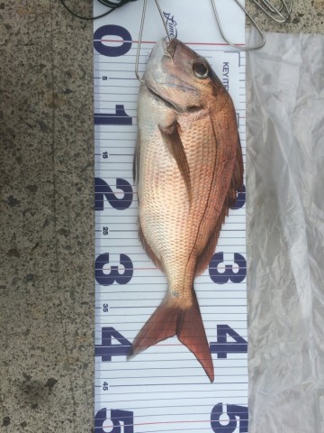 49g6rti8b6uuhaz76wu7_690_920-0725ffc3.jpg