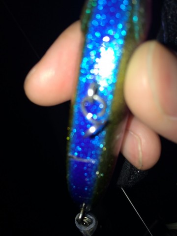 4bbyx3ikec45fzwkzeks_480_480-7b7603b1.jpg