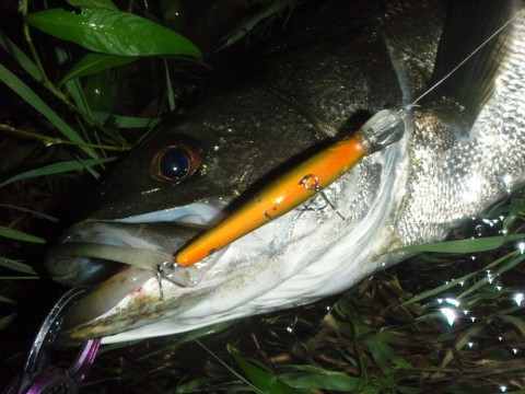4f4fkgvg2kt4di8872pp_480_480-b26c0755.jpg