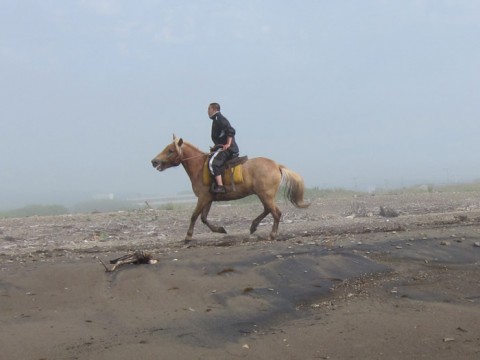 4gHy9XZvBw7rZr5Ujn2h_480_480-0a4557fd.jpg