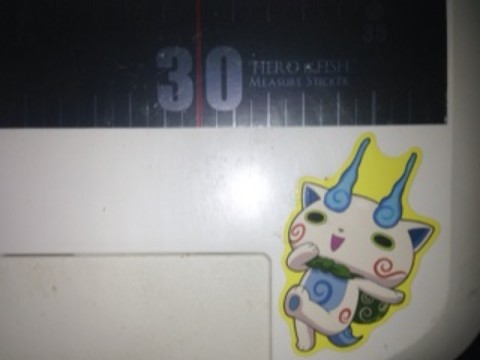 5g5gxg842tkgeotsd6ku_920_690-23871aaa.jpg