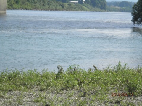 5jryiusakzzkmctfpyzd_480_480-505b6899.jpg