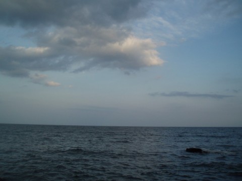 5w43y4bicw6z3uojef3j_480_480-29b349eb.jpg