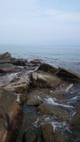 6bpecipm57hi723i4uad_480_480-9e3b1a9a.jpg