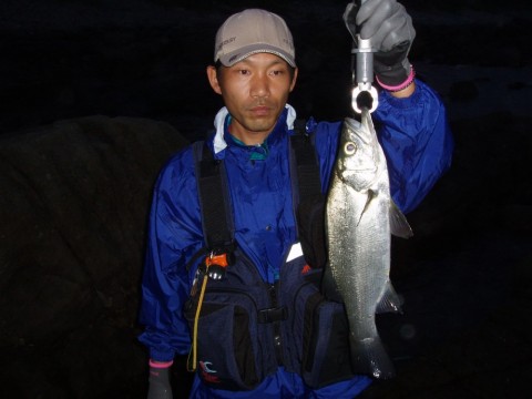 6ee5zmofn9mtj2cukggu_480_480-59db7c16.jpg