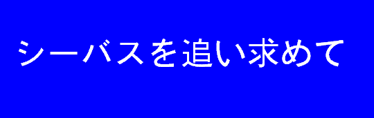シーバスを追い求めて