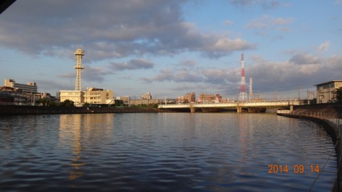 72huk8djvghv9k8zenpe_480_480-4e1b17fd.jpg