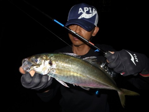 75bmotrz5bp87skk3ga5_480_480-85c1063a.jpg