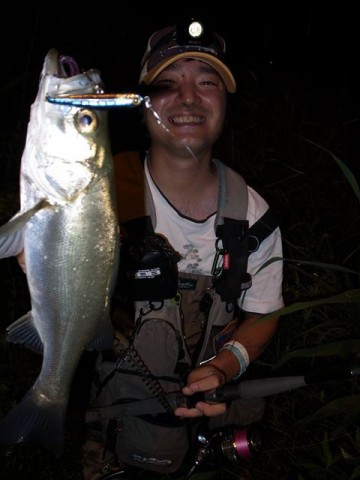 76g62bvd9auppof3h3a9_360_480-c0a7d0de.jpg
