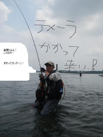 77et655g8bp3vnoh6pt7_480_480-b7d48213.jpg