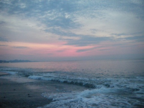 7jumv3ki3kn798j8cnnb_480_480-6373fc9f.jpg