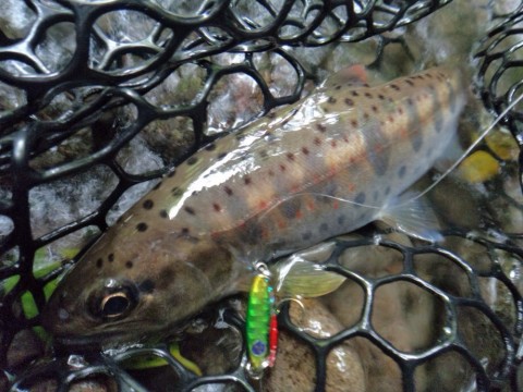 7mdtewmcuxbti9hnigi9_920_690-00d29693.jpg