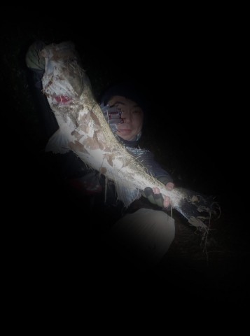 7pmdym3vv7cydpjt32rx_357_480-c8141dce.jpg
