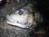 7wfcaktiodri98dpmh9v_70_53-14c52107.jpg