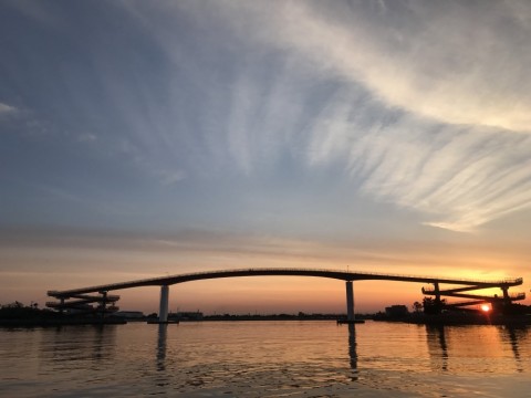 8cvtgb4w4dmn3sdadgrk_480_480-60f7c26e.jpg