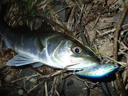 8guacub2b9wjuhg6mvwd-b27c1228.jpg
