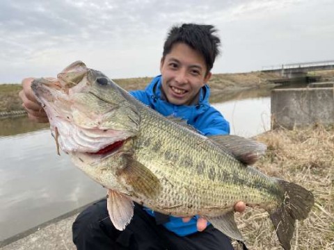 バスもGW疲れでしょうか…。 毎日これでもかと見たルアーに飽きたんでしょうね！ でもなんとか釣れてくれました！ 風強い日は疲れる…。  明日はこれに雨か…。考えものですね…。 #弁慶堀#弁慶フィッシングクラブ #バス釣り#ブラックバス#レジットデザイン#ワイルドサイド#63mh