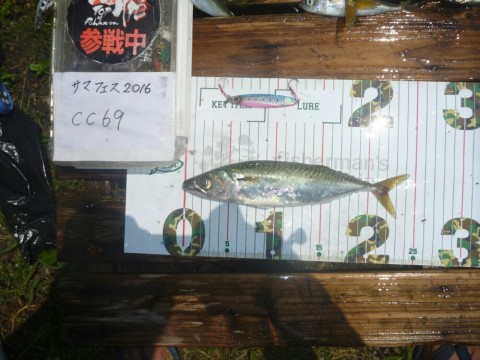 8z3hjj74rzrc8bb74jp6_920_690-f21a309e.jpg
