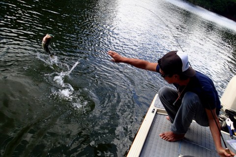 95gogbkoxg2jud6bxd2n_480_480-9589c529.jpg