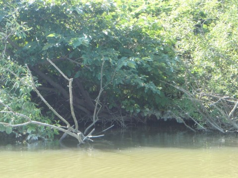9hvi49zwvpygskecjg7w_920_690-8ec08293.jpg