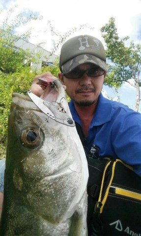 9mcv4go98krvt4etpuna_551_920-e3e4be76.jpg