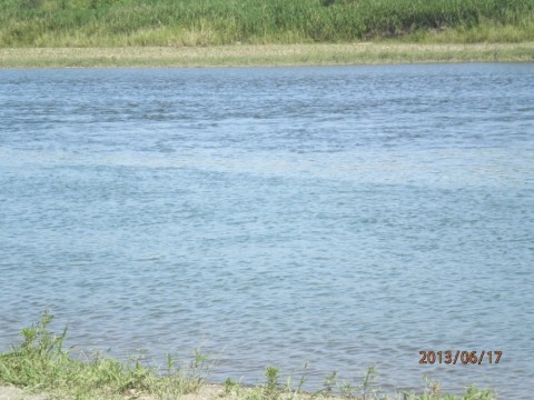 9o2ahawz5mn7hjemsin6_480_480-395519eb.jpg
