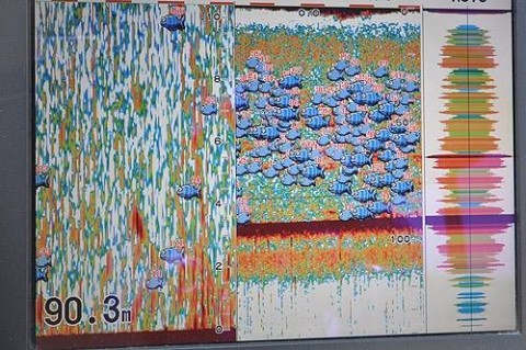 9vpd2tbidrcjyg5hpon7_480_319-d532e450.jpg