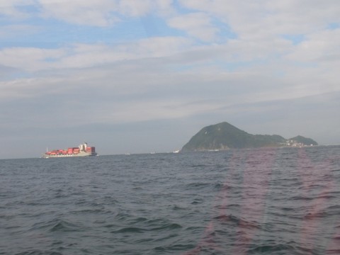 9zw8zn9nva3j56cf7phr_480_480-9c670b84.jpg