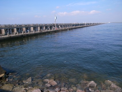 名古屋 港 海 釣り 公園