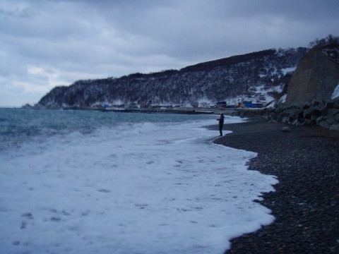 F33fnzrZYmuDaF5vOoUC_480_480-9d8f216e.jpg