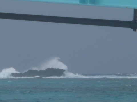 WRADiTVMMusFNuiraiDa_480_360-09428031.jpg