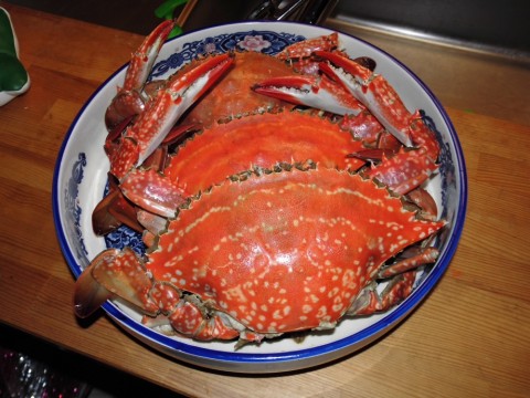 a3ikbpdm8akjc2tgij5u_920_690-7641132e.jpg