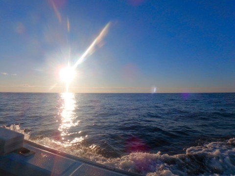 a5pv7hc2yv5uijjii8fd_920_690-28b0f4c0.jpg