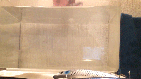 a9hg9xh2cgru86ztfvo6-c05859cd.gif