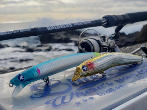 BALBAL99 保証書付き　blueblue ブルーブルー　高橋優介 BLUEBLUE BALBAL 99 JERKING EDITION