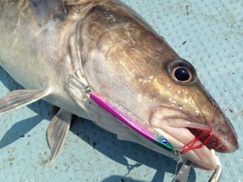b654oby7uphumy7fgkhb_920_690-c9ec1986.jpg