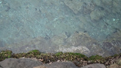 b9kvwm7ypmtwi3brhtiy_480_480-8522c91f.jpg