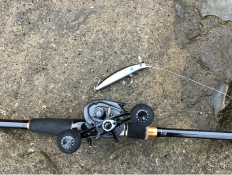 自作　ベイトロッド　10ft 釣査兵団仕様ニャンター調査報告】 ベイト初心者によるベイト