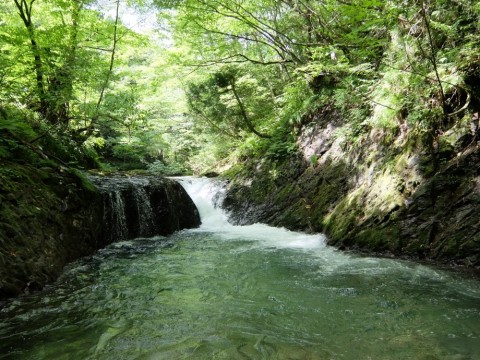 bdtuyubzdfmzb2gr686a_480_480-4e370b44.jpg