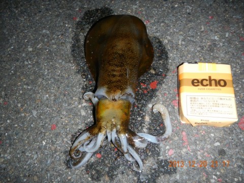 bhe4rc4ub32kvyciawwh_480_480-ea0756bd.jpg