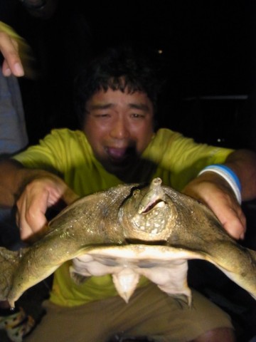 bkv54u98xv6c3rmb65b9_360_480-3fd8920e.jpg
