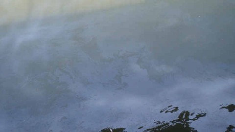 cfthzopkmmgvctwjakrr_480_480-0a76f71c.jpg
